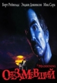 Постер Обезумевший (1995)