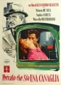 Постер Жаль, что ты каналья (1954)