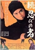 Постер Ниндзя 2 (2013)