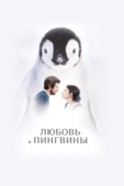 Постер Любовь и пингвины (2016)