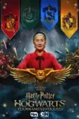 Постер Гарри Поттер: Битва факультетов (2021)