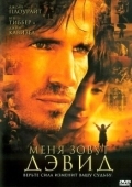 Постер Меня зовут Дэвид (2003)