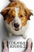Постер Собачья жизнь 2 (2019)