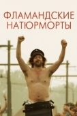 Постер Фламандские натюрморты (2009)