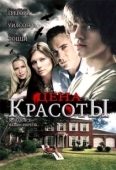 Постер Цена красоты (2009)