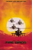 Постер Огненные птицы (1990)