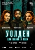 Постер Уолден, или Жизнь в лесу (2021)