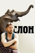 Постер Слон (2022)