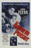 Постер Северная погоня (1943)