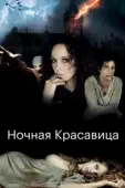 Постер Ночная красавица (2013)