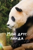 Постер Мой друг панда (2024)