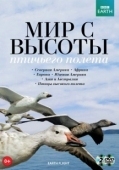 Постер Мир с высоты птичьего полета (2011)