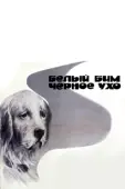 Постер Белый Бим Черное ухо (1976)