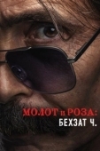Постер Молот и роза: Бехзат Ч. (2022)
