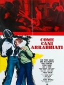 Постер Как бешеные псы (1976)
