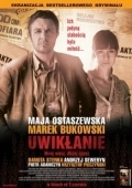 Постер Запутанность (2011)