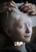 Постер Барсук (2020)