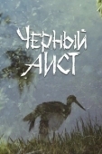 Постер Черный аист (1993)