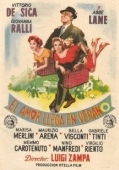 Постер Время отпусков (1956)