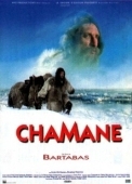 Постер Шаман (2011)