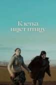 Постер Клетка ищет птицу (2023)