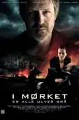 Постер Варг Веум: Ночью все волки серы (2011)