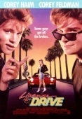 Постер Водительские права (1988)