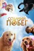 Постер Собачий побег (2023)