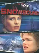 Постер Занесенный снегом (2001)