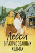 Постер Лесси в разрисованных холмах (1951)
