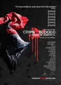 Постер Сделано в Америке (1993)