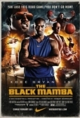 Постер Черная мамба (2011)