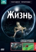 Постер BBC: Жизнь (2009)