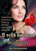 Постер Я тебя никогда не забуду (2013)