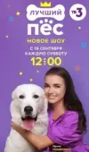 Постер Лучший пёс (2020)