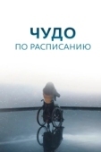 Постер Чудо по расписанию (2016)
