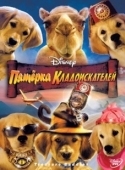 Постер Пятерка кладоискателей (2012)