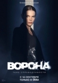 Постер Ворона (2025)
