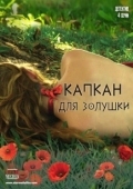 Постер Капкан для Золушки (2015)