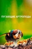 Постер Пугающие артроподы (2021)