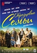 Постер Образцовые семьи (2014)