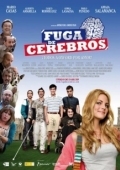 Постер Утечка мозгов (2009)