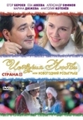 Постер История любви, или новогодний розыгрыш	 (2009)