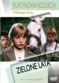 Постер Зеленые годы (1979)