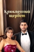 Постер Клюквенный щербет (2022)
