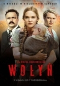 Постер Волынь (2016)