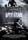 Постер Открытая могила	 (2013)