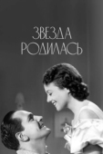 Постер Звезда родилась (2018)