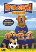Постер Король воздуха: Лига чемпионов (2000)