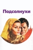 Постер Подсолнухи (1970)